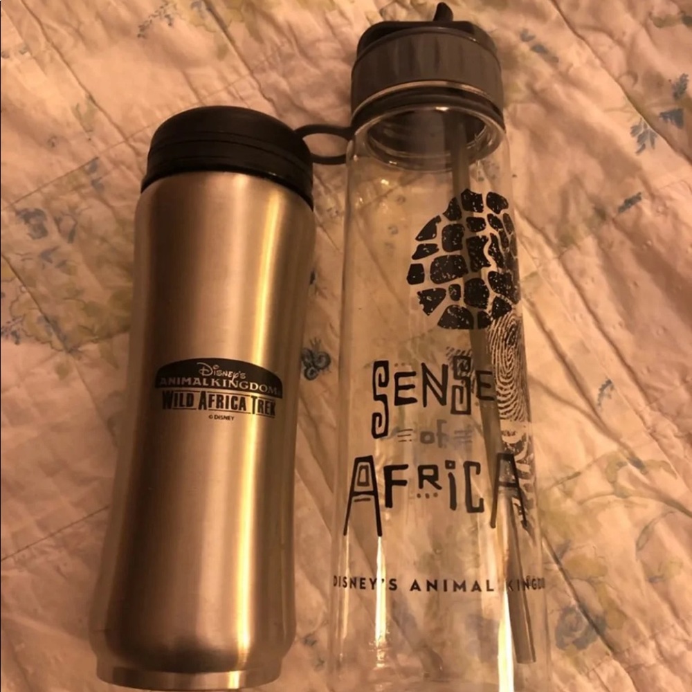2 collectible Disney World water bottles